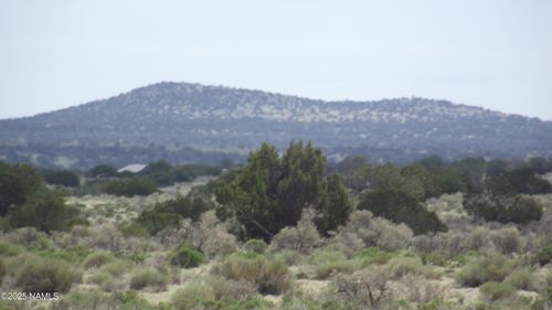 3020 E Rudy Rd, Williams, AZ, 86046 | Card Image
