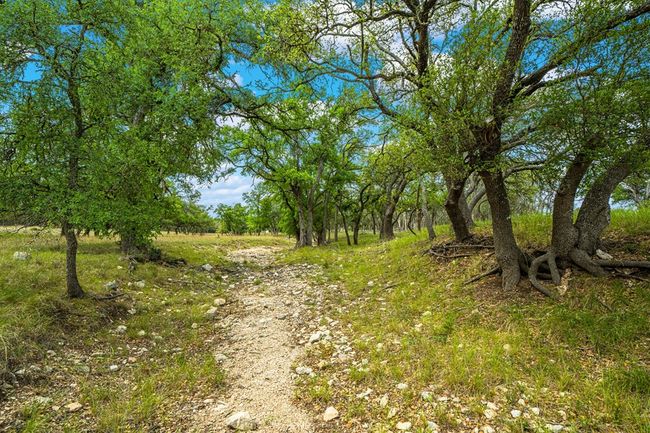 1379 Barker Rogers Rd, Home with 0 bedrooms, 0 bathrooms and null parking in Harper TX | Image 29