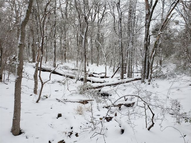 View of snowy landscape | Image 35