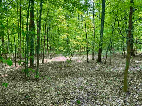 00 Honeybee Road, Empire Township, MI, 49621 | Card Image