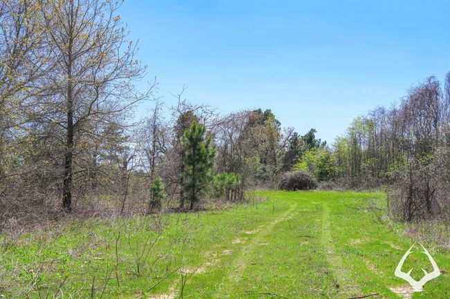 2 E Fm 323, Home with 0 bedrooms, 0 bathrooms and null parking in Palestine TX | Image 9