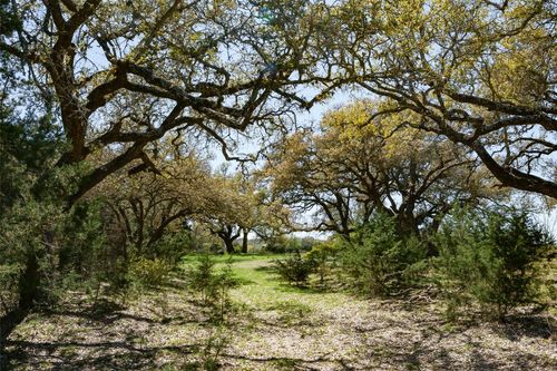 1440 Stone Ridge Mountain Dr, Round Mountain, TX, 78663 | Card Image