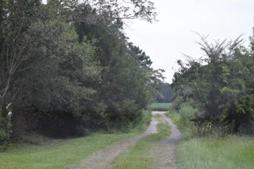 0 Lilac Ln, Nesmith, SC, 29580 | Card Image