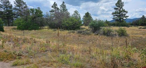 19 E Crescent Ct, Pagosa Springs, CO, 81147 | Card Image