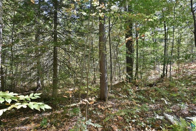 Lot 1 County Highway C, Home with 0 bedrooms, 0 bathrooms and null parking in Cornucopia WI | Image 7
