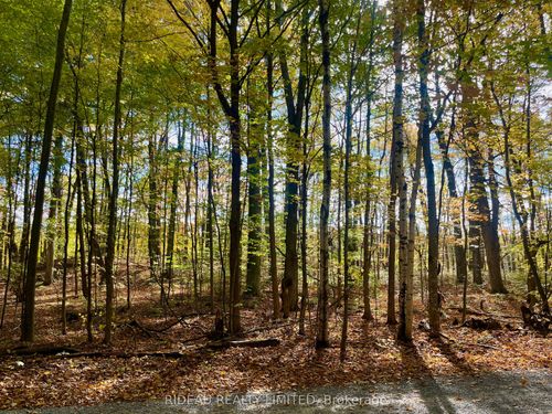 PT 38 Cedar Sands Rd, Lyndhurst, ON, K0E1N0 | Card Image