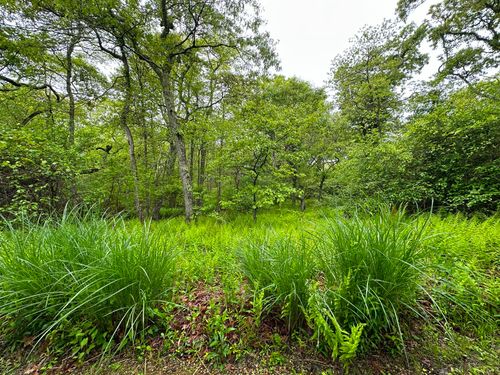 19A Locust Ln, Aquinnah, MA, 02535-1321 | Card Image