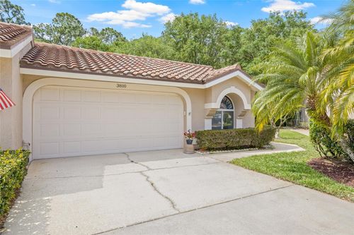 3810 Darston St, PALM HARBOR, FL, 34685-3118 | Card Image