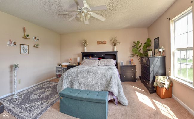 Back Yard | Image 24