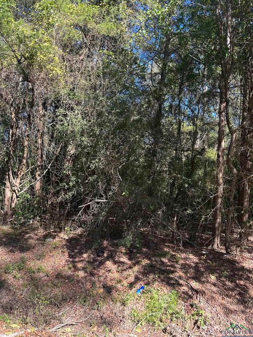 TBD Sanders St, Carthage, TX, 75633 | Card Image