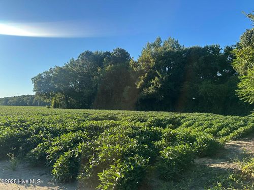 0 Creech Rd, Lucama, NC, 27851 | Card Image