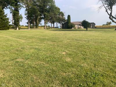 Huge yard with lots of mature trees | Image 3