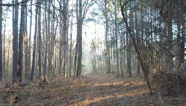 00 Farmstead Rd, Home with 0 bedrooms, 0 bathrooms and null parking in Seagrove NC | Image 16