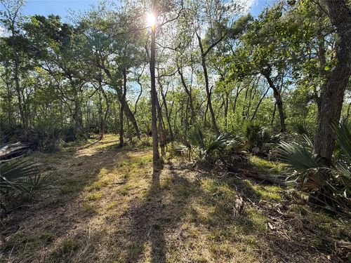 Tract 1 E Ashley Wilson Rd, Sweeny, TX, 77480 | Card Image