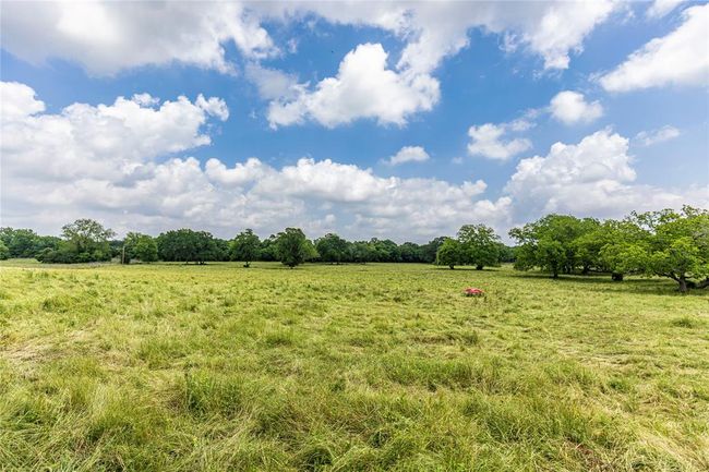 3148 Mill Creek Ranch Rd, Home with 0 bedrooms, 0 bathrooms and null parking in New Ulm TX | Image 7