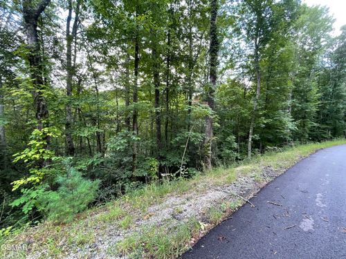 Lot 6 Stepping Stone Dr, Sevierville, TN, 37862 | Card Image
