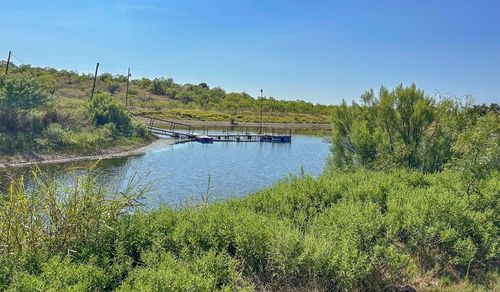 197 Scenic Dr, Coleman, TX, 76834-8516 | Card Image