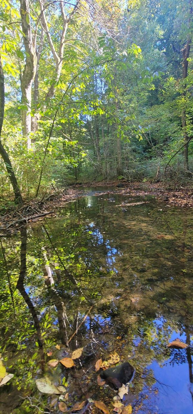 61243 Stone Cave Loop, Home with 0 bedrooms, 0 bathrooms and null parking in Dunlap TN | Image 62