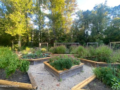 Raised Bed Garden | Image 3