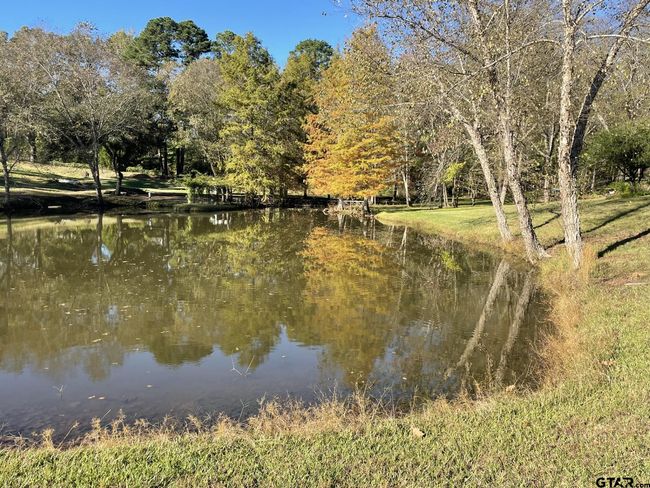 22233 County Road 223, House other with 4 bedrooms, 3 bathrooms and null parking in Arp TX | Image 10