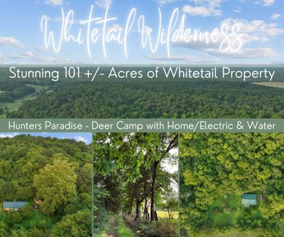 Whitetail Wilderness | Image 1