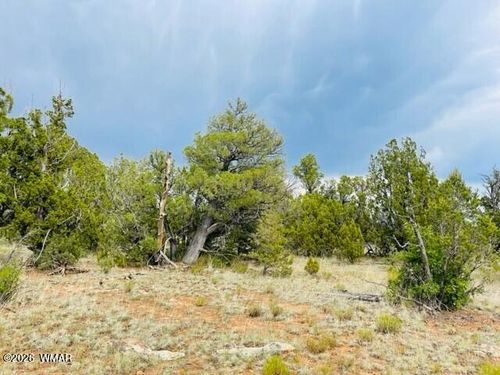 8418 Haven Crest Dr, Happy Jack, AZ, 86024 | Card Image