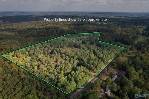 25.8 Acres Davis Gap Rd, Vinemont, AL, 35179 | Card Image