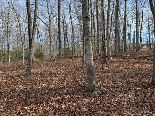 Lot 48 Old Mill Dr, Hardy, VA, 24101-3140 | Card Image