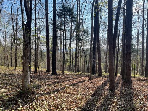 Lot 12 Chalcrest Way, Cave Spring, GA, 30124-2280 | Card Image