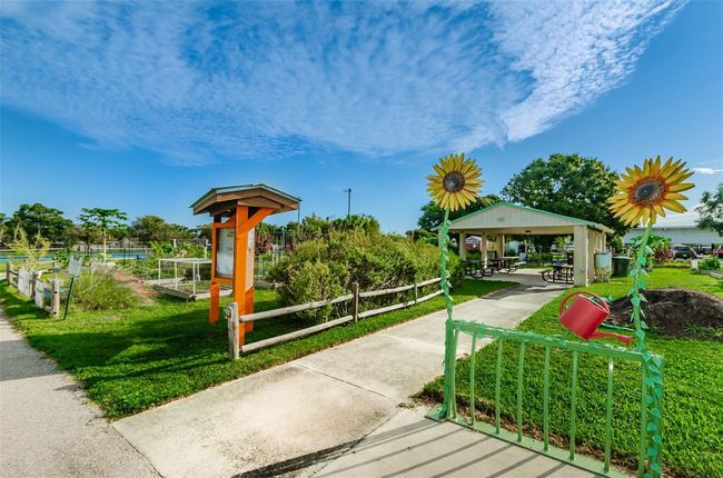 Community Gardens! | Image 59