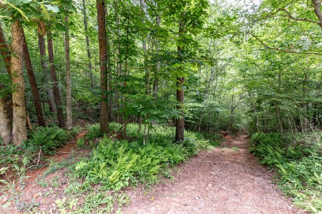 26.18 AC Green Road, Home with 0 bedrooms, 0 bathrooms and null parking in Young Harris GA | Image 18