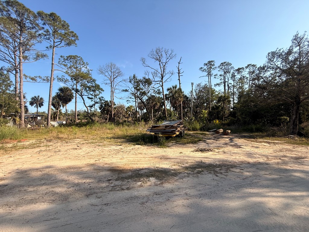 Land in Steinhatchee 3