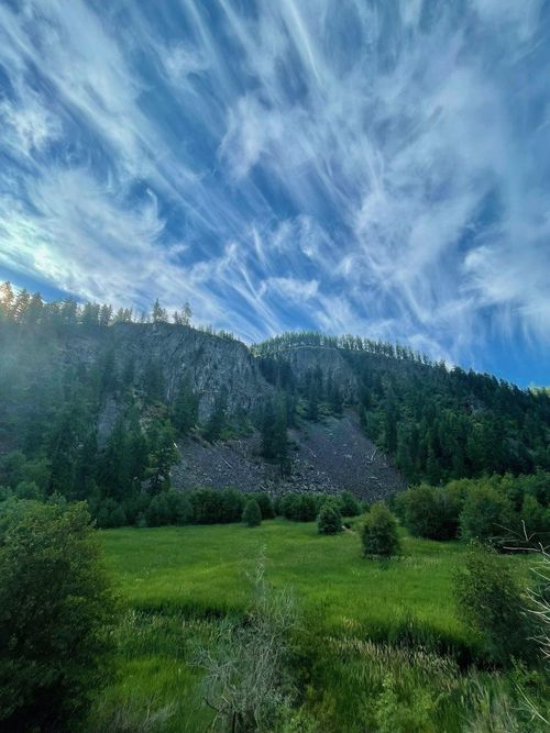 8XX Little Spokane River Rd, Newport, WA, 99156-8331 | Card Image