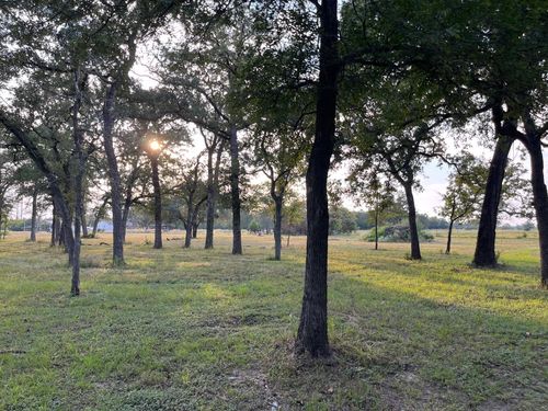 TBD County Road 427, Somerville, TX, 77879 | Card Image