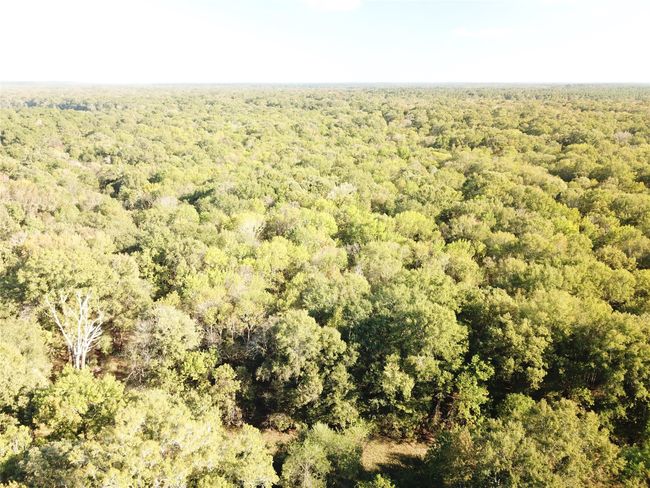9795 S Us Highway 59, Home with 0 bedrooms, 0 bathrooms and null parking in Nacogdoches TX | Image 31