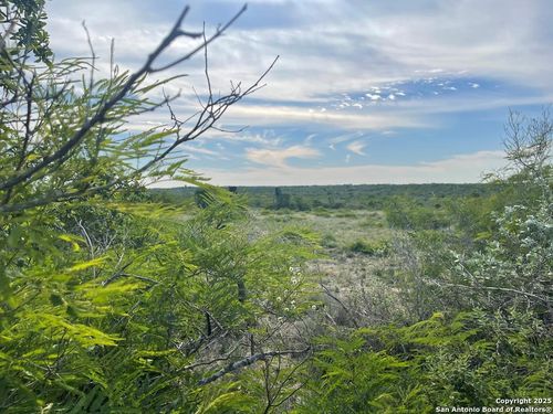 197 Live Oak Spur, George West, TX, 78022-2202 | Card Image