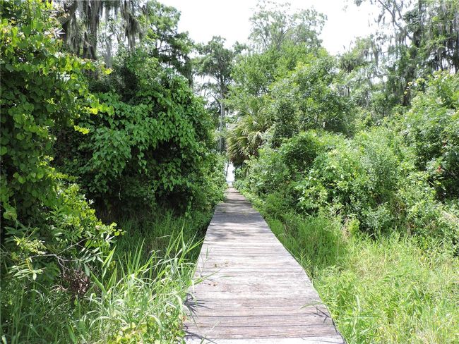 192 Commercial Ave, Home with 0 bedrooms, 0 bathrooms and null parking in East Palatka FL | Image 10