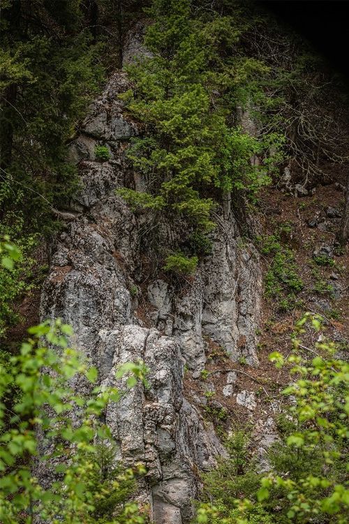 4 Garnet Range, Drummond, MT, 59832 | Card Image