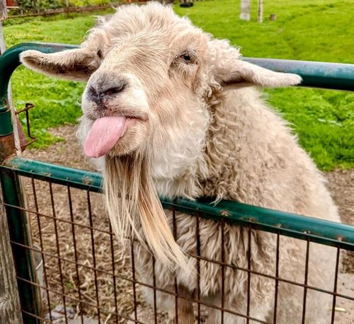 0 San Lucas Ave, Moss Beach, CA, 94038 | Card Image