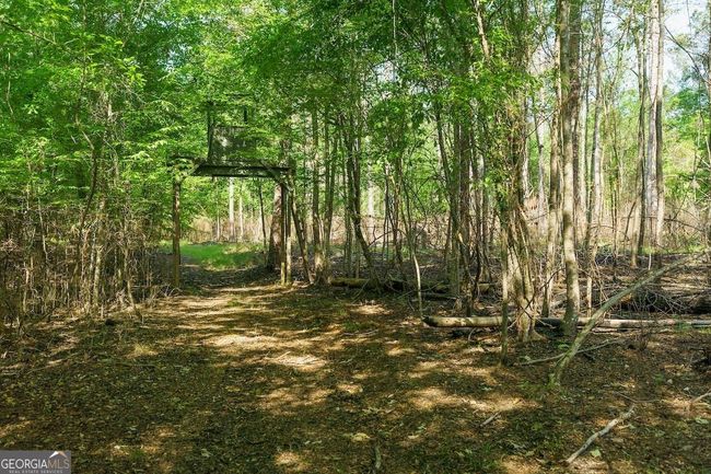 6053 Sun Hill Grange Rd, Home with 0 bedrooms, 0 bathrooms and null parking in Davisboro GA | Image 42
