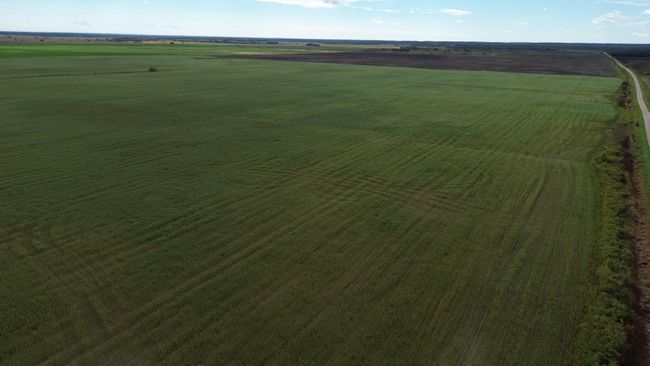 DJI_0020.JPG | Image 12