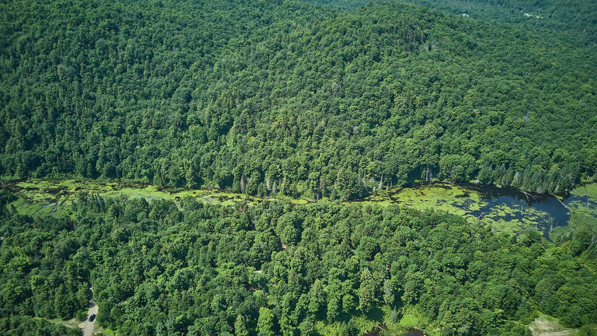 Land in Grenville-sur-la-Rouge 4
