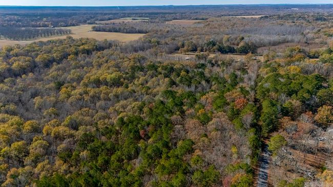 001-09449-000 Prysock Road, Home with 0 bedrooms, 0 bathrooms and null parking in Benton AR | Image 19