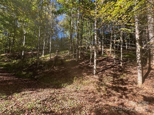 9 Susanna Cove Rd, Mars Hill, NC, 28754-6634 | Card Image