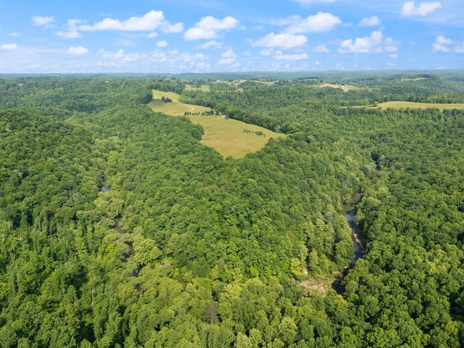 225 Hilltop Rd, Home with 3 bedrooms, 3 bathrooms and null parking in East Bernstadt KY | Image 89