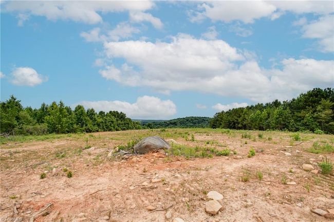 931 Nc Highway 705, Home with 0 bedrooms, 0 bathrooms and null parking in Seagrove NC | Image 9