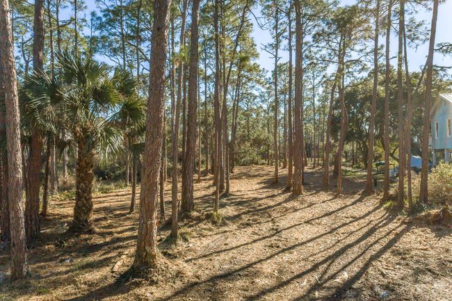160 Harbor Cir, Home with 0 bedrooms, 0 bathrooms and null parking in ALLIGATOR POINT FL | Image 11