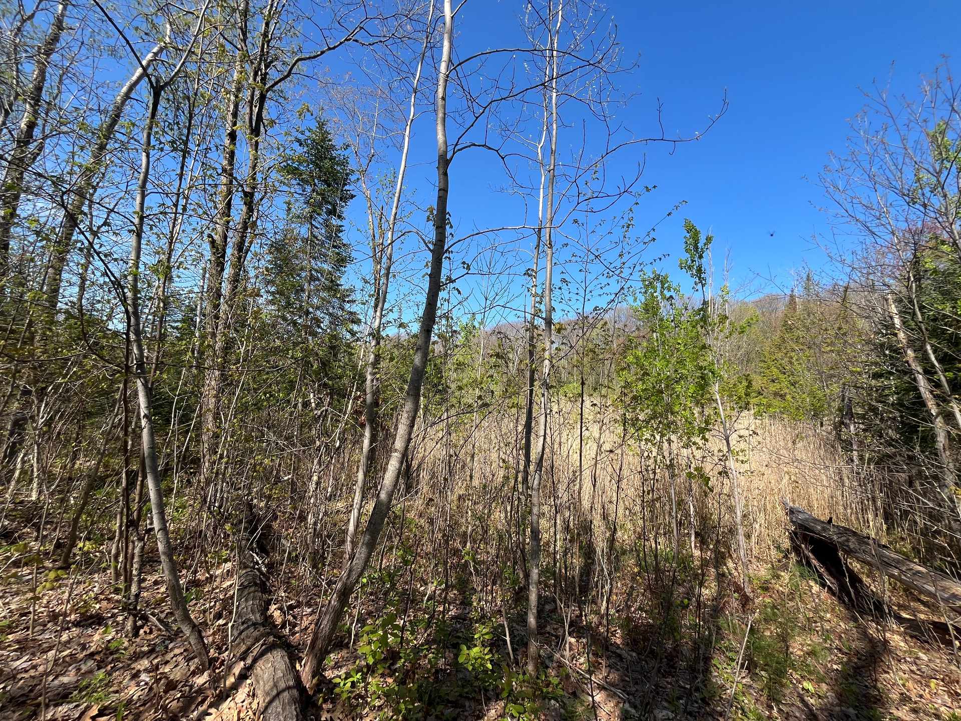 Land in Saint-Lin/Laurentides