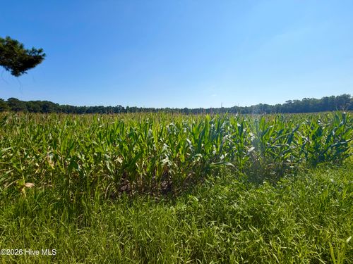 00 Cedar Fork Rd, Beulaville, NC, 28518 | Card Image
