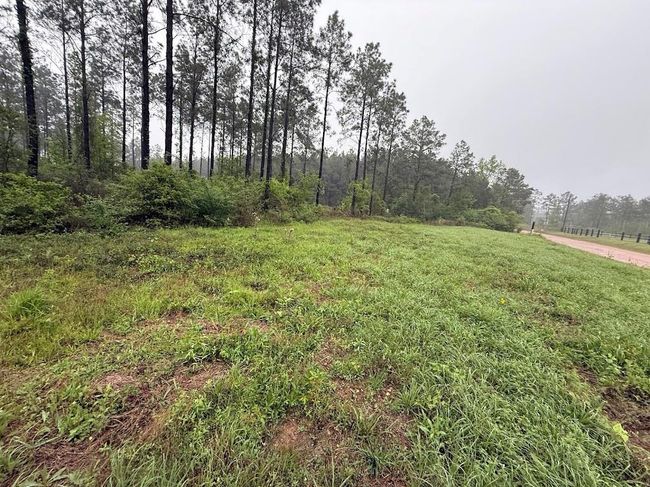 0 Richardson Rd E, Home with 0 bedrooms, 0 bathrooms and null parking in Livingston TX | Image 34